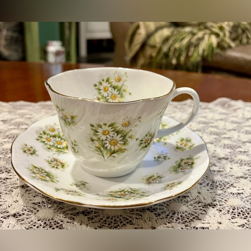 Vintage Queen’s Daisy Countryside Series Teacup and Saucer